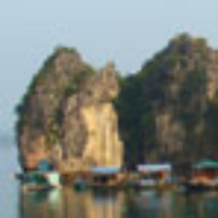 Dragonfly Chinese Takeaway