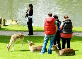 Prinknash Bird and Deer Park