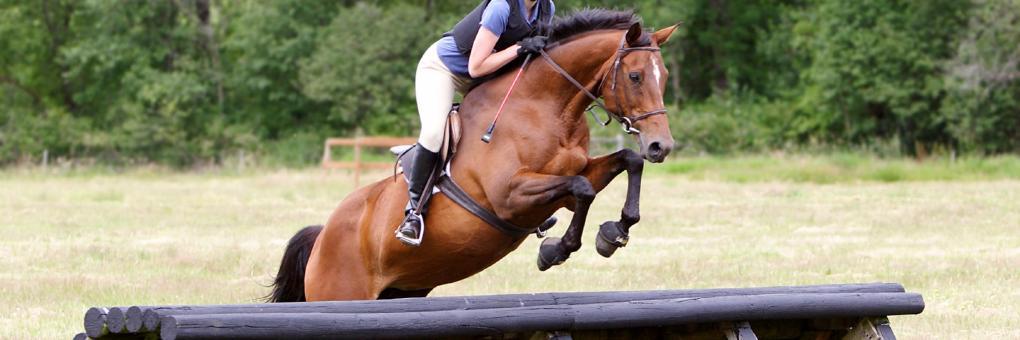 Badminton Horse Trials